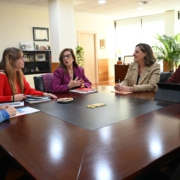 Reunion en la consejeria de empleo