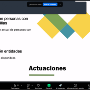 comision vida adulta