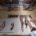 Gimnastrada