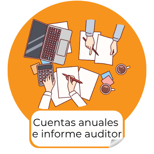 cuentas anuales e informe auditor